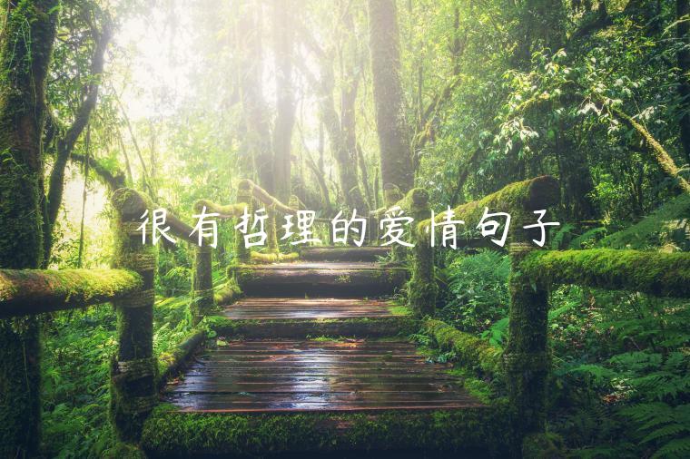 很有哲理的愛情句子