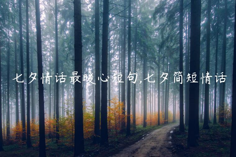 七夕情話最暖心短句,七夕簡短情話