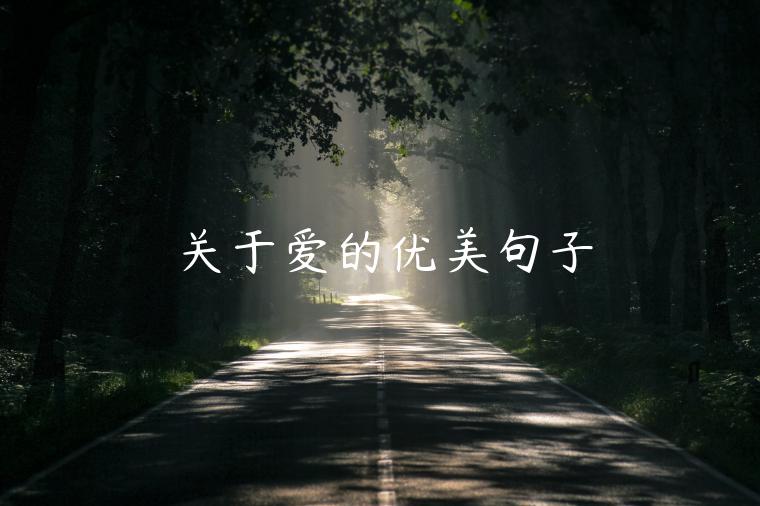 關于愛的優美句子