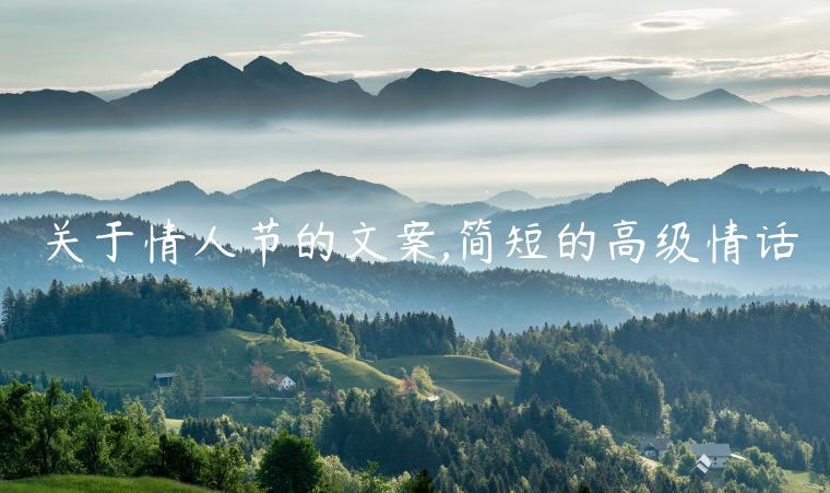 關于情人節的文案,簡短的高級情話