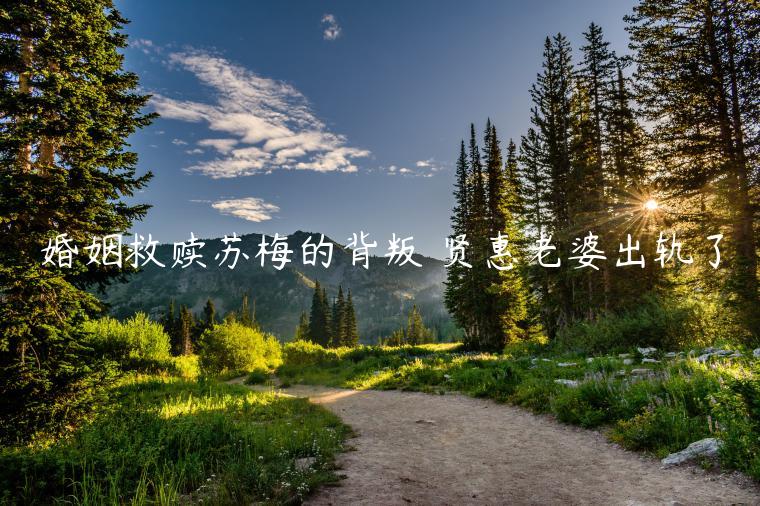 婚姻救贖蘇梅的背叛 賢惠老婆出軌了