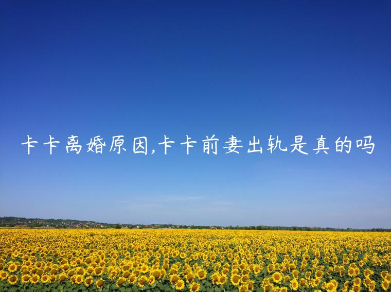 卡卡離婚原因,卡卡前妻出軌是真的嗎