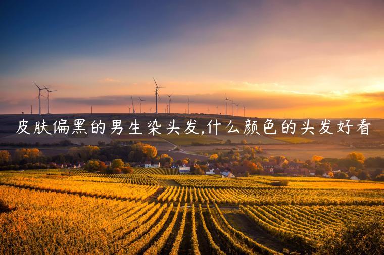 皮膚偏黑的男生染頭發,什么顏色的頭發好看