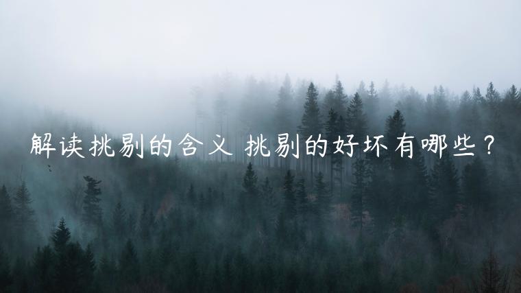 解讀挑剔的含義 挑剔的好壞有哪些？