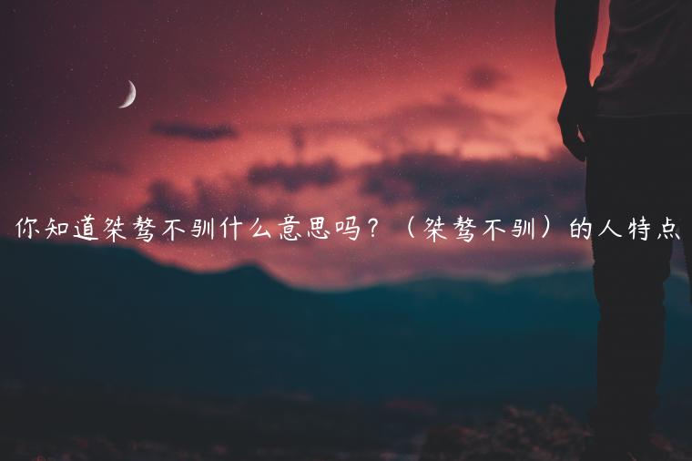 你知道桀驁不馴什么意思嗎？（桀驁不馴）的人特點(diǎn)