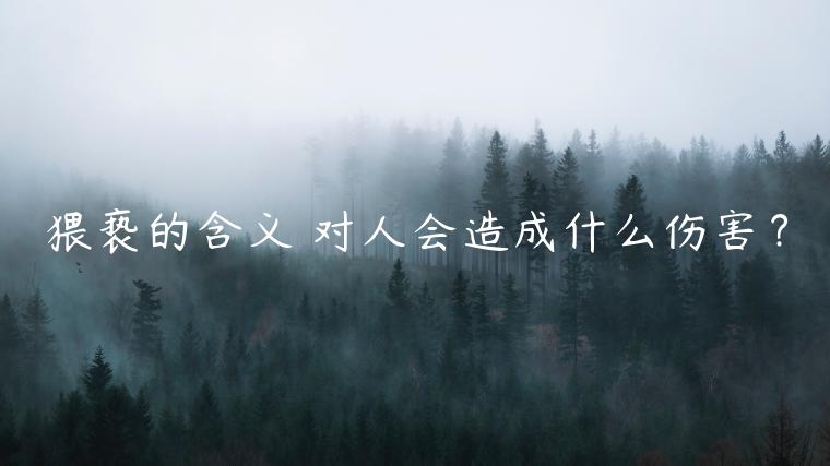 猥褻的含義 對人會造成什么傷害？