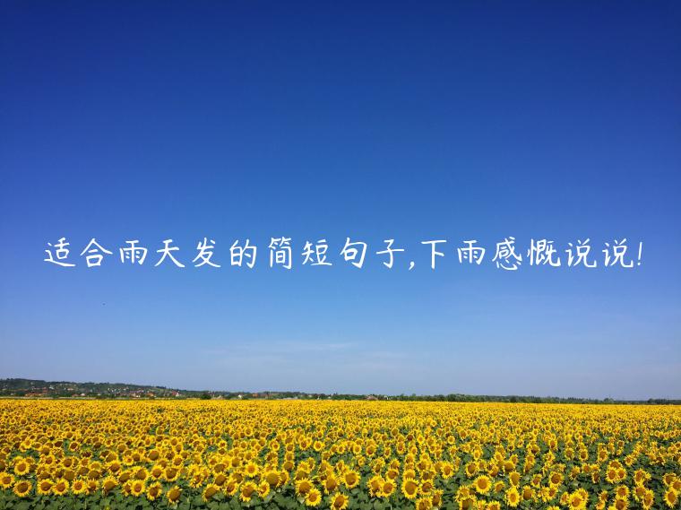 適合雨天發的簡短句子,下雨感慨說說!