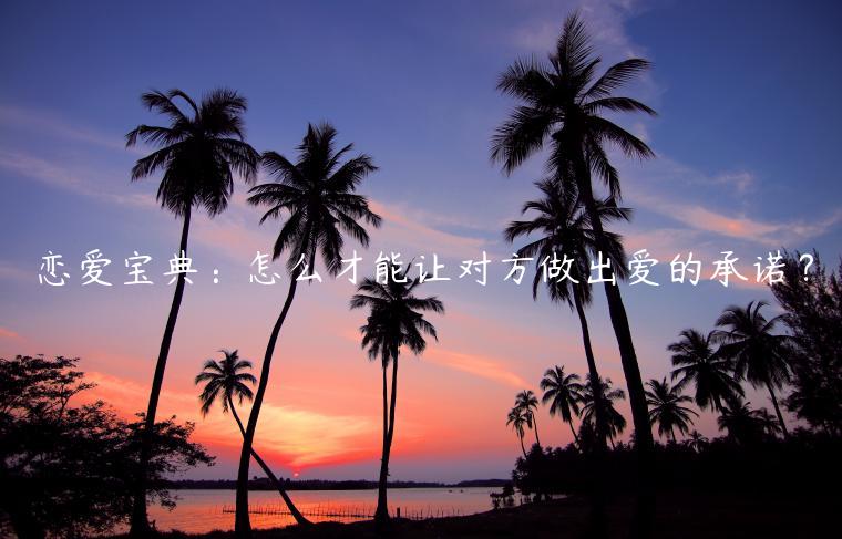 戀愛寶典：怎么才能讓對方做出愛的承諾？