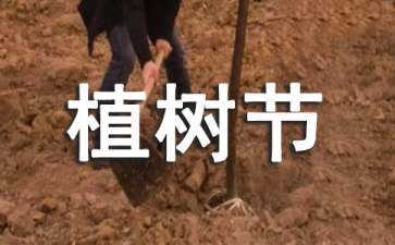 有關植樹節活動方案匯總2017