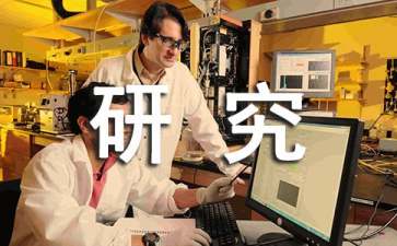 可行性研究報告方案