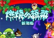 燃燒的蔬菜