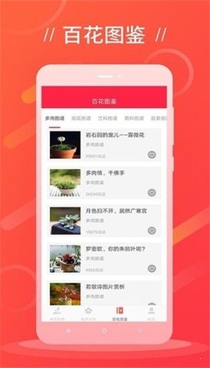 鮮花吧1