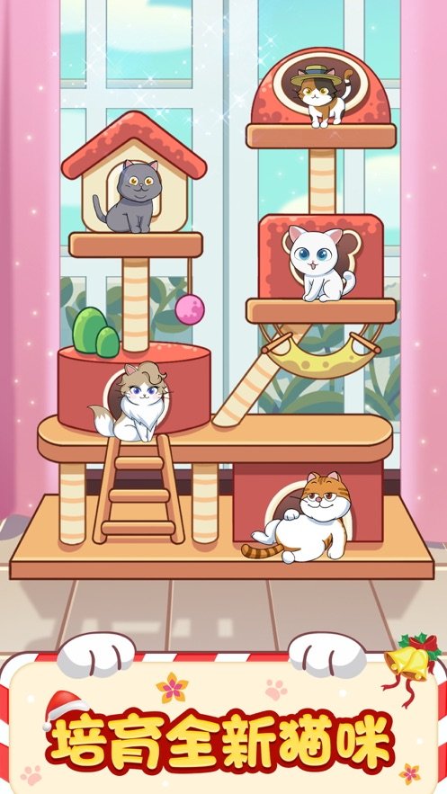 貓咪小家1