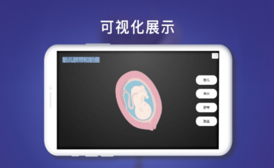 人體系統0