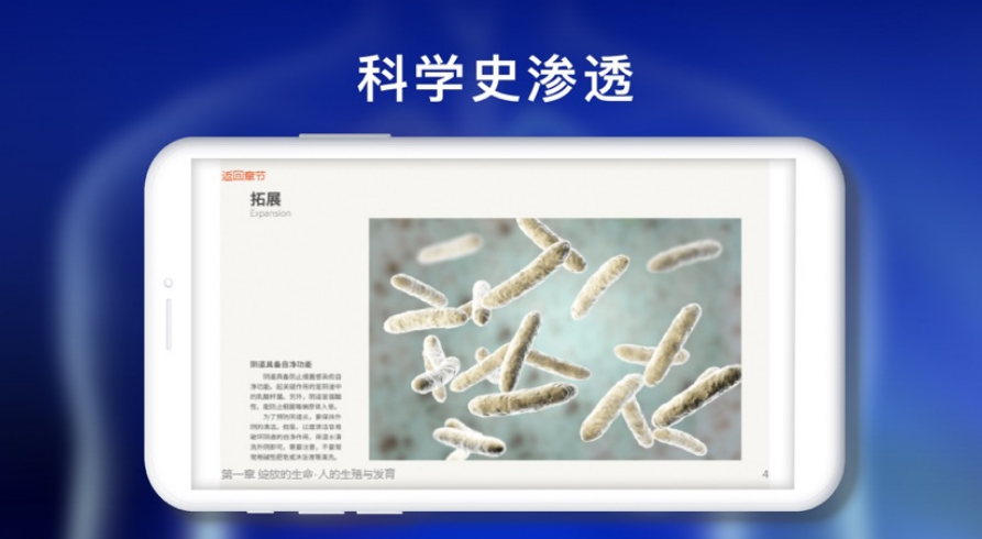 人體系統2