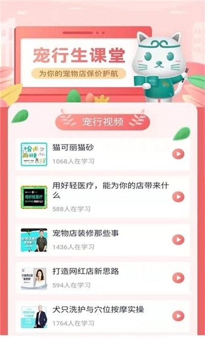 板栗狗2