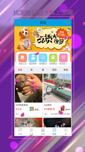 寵聊1