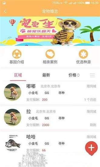 慧寵2
