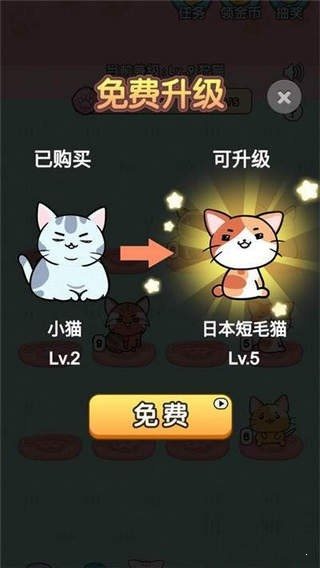 擼貓有財1