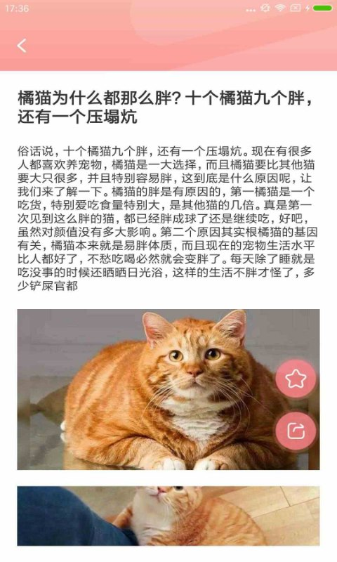 寵物公社1