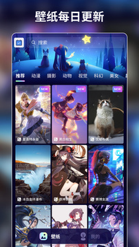 壁紙醬0