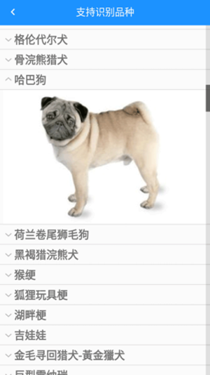 哈狗識別2