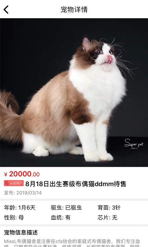 貓行狗市0