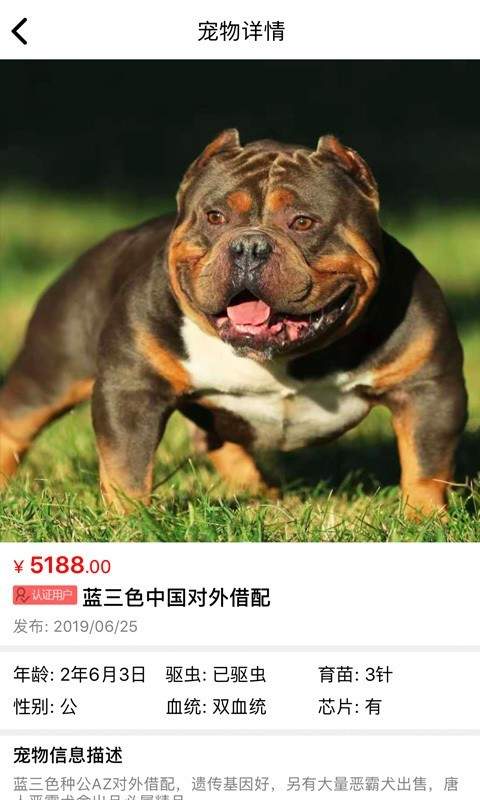貓行狗市1