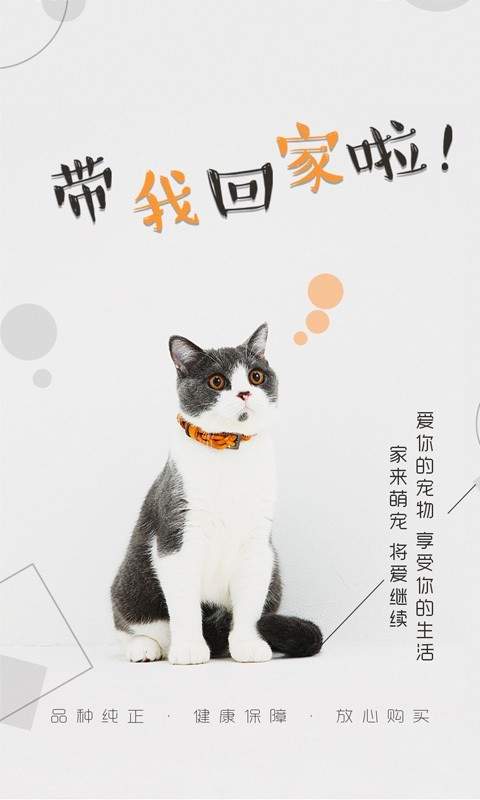 貓行狗市2