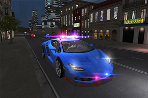 極限警車駕駛20200