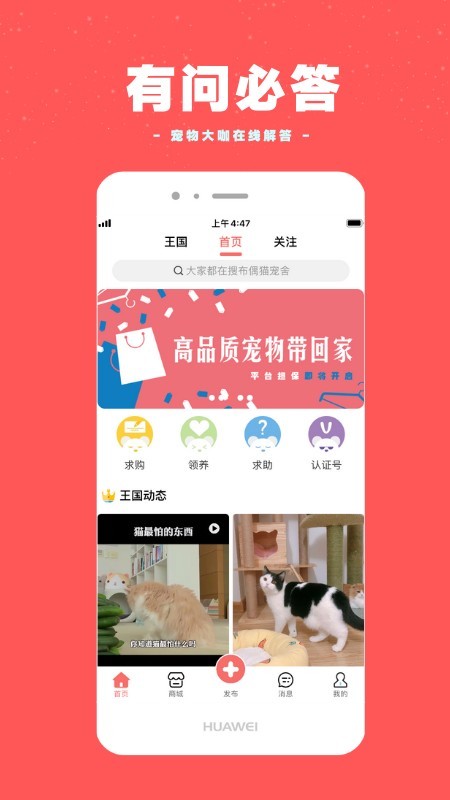 寵物王國1