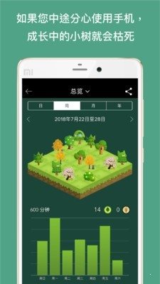 Forest專注森林1