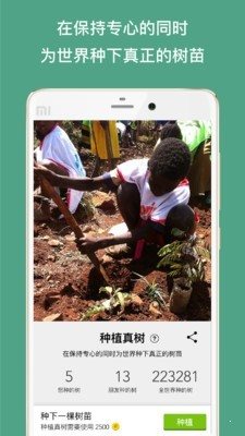 Forest專注森林3