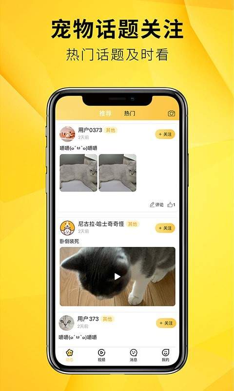 毛寵團0