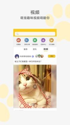 我愛它它2