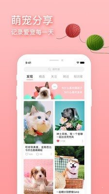 卡多格寵物1