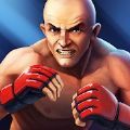 MMA格斗比賽3d