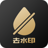 白云視頻去水印