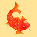 紅魚資訊