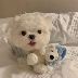 千金少爺破解版