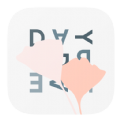 Daydream圖標app安卓版