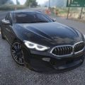 物理汽車駕駛2021