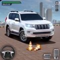 最佳停車大師