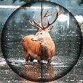 狩獵沖突2021