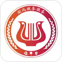鄂匯辦2020養老保險繳費