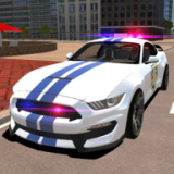 R8警官模擬器