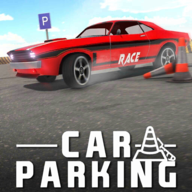免費(fèi)停車(chē)場(chǎng)模擬駕駛(Real Car Parker)