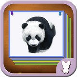 動物圖鑒3D