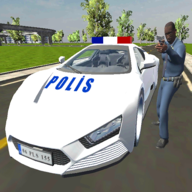 豪華警車模擬器