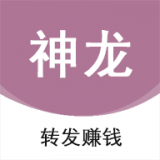 神龍資訊